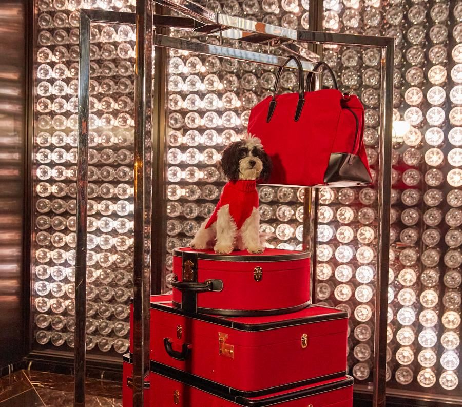 Luxury Pet Friendly Hotel NYC Baccarat Hotel New York